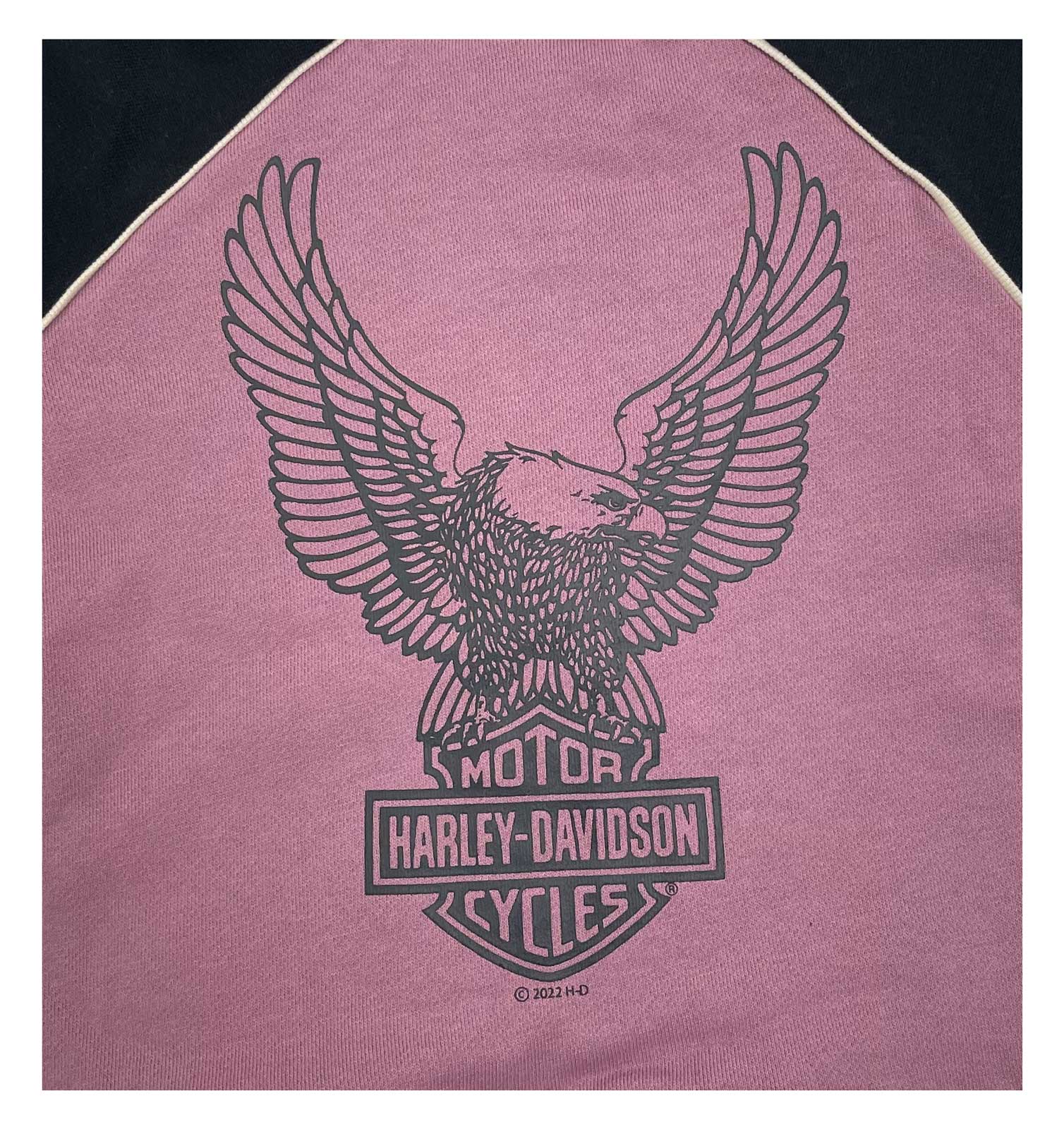 Harley-Davidson Free Shipping - Harley-Davidson Baby Girls' 2 Piece Infant Fleece Hoodie Jog Set - Purple/Black - Free Shipping on many products plus Orders Over $99