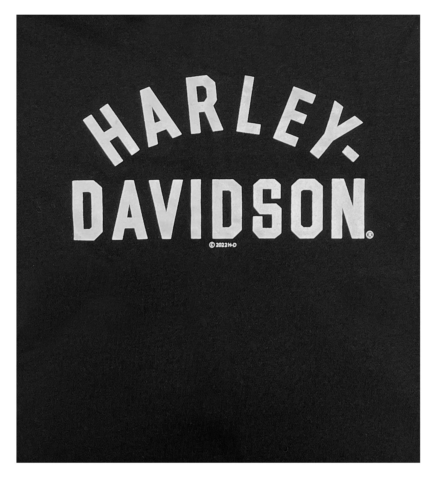 Harley-Davidson Free Shipping - Harley-Davidson Big Boys' B&S Logo Fleece Colorblocked Zippered Hoodie - Free Shipping on many products plus Orders Over $99