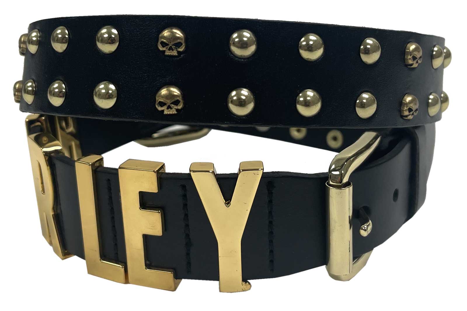 Harley-Davidson Women's Gold Digger Willie G Genuine Leather Belt - Black - Wisconsin Harley-Davidson