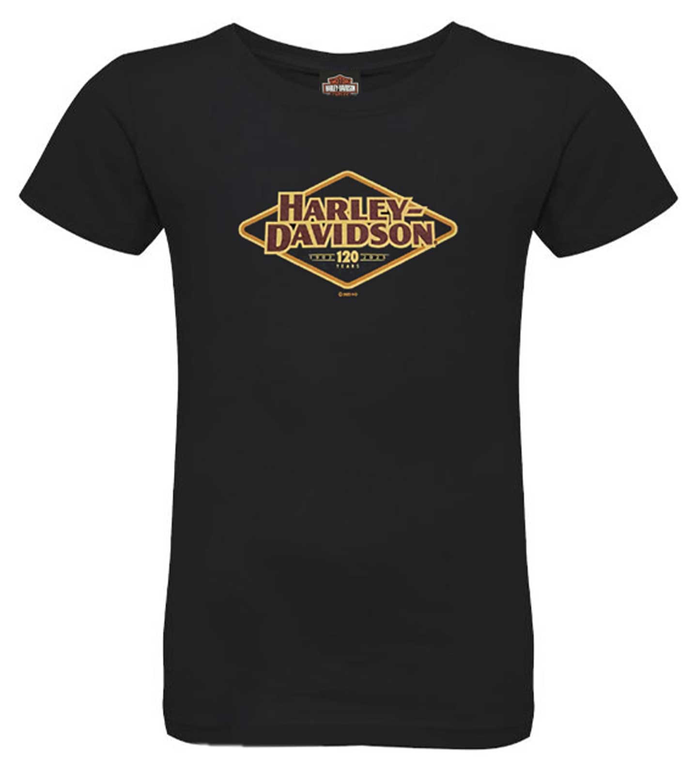 USA製BIGsize‼︎Harley-Davidson National Powersports Distributors
