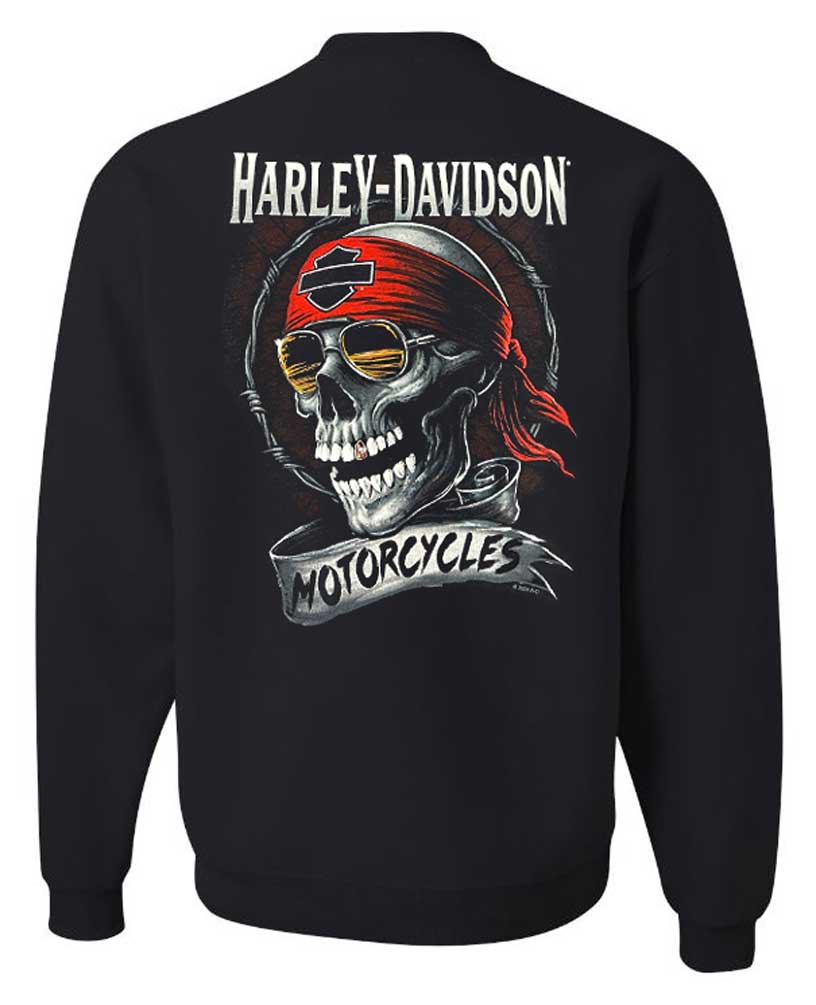 Harley-Davidson Men’s Shady Biker Skull Hoodie – Black Pullover With Graphic Back