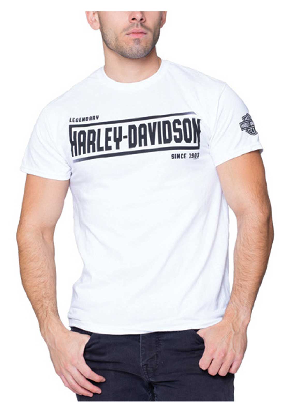 Harley-Davidson Men's Faded H-D Crew-Neck Short Sleeve Cotton T-Shirt - White - Wisconsin Harley-Davidson