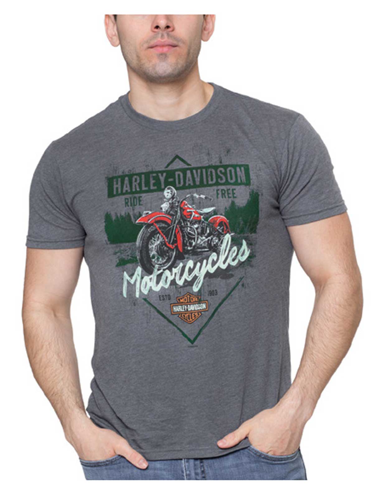 Harley-Davidson Men's With Style Crew-Neck Short Sleeve Tee, Vintage Gray - Wisconsin Harley-Davidson