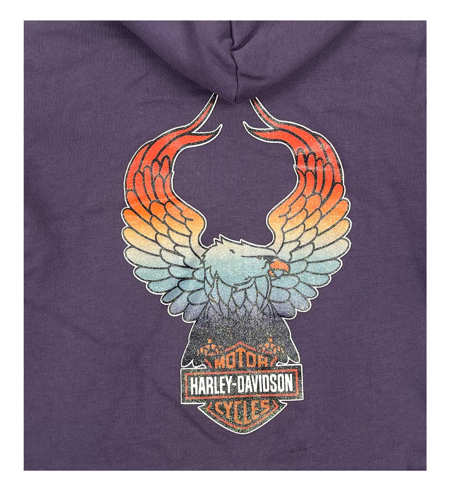 Harley-Davidson Free Shipping - Harley-Davidson Little Girls' B&S Sherpa Lined Toddler Fleece Zip Hoodie - Free Shipping on many products plus Orders Over $99