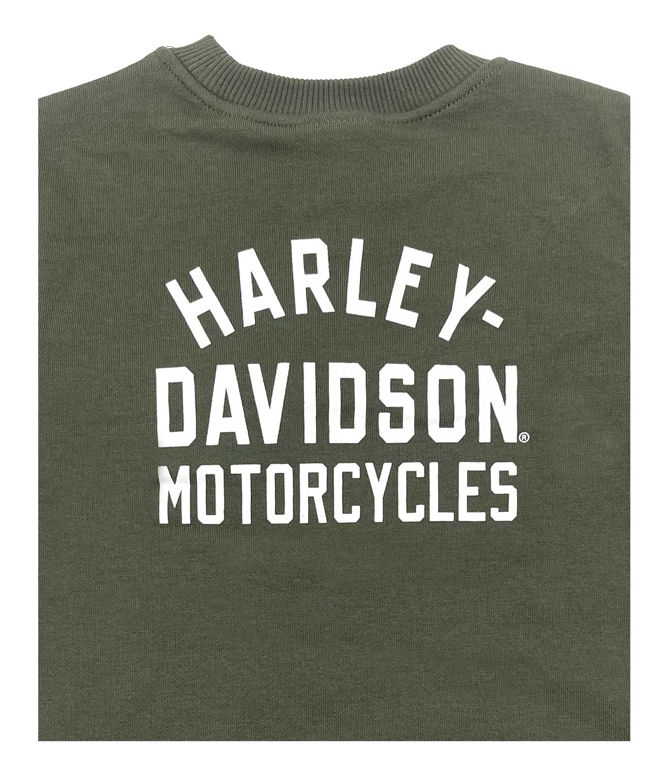 Harley-Davidson Free Shipping - Harley-Davidson Big Boys' Winged B&S Logo Fleece Pullover Sweatshirt, Green - Free Shipping on many products plus Orders Over $99