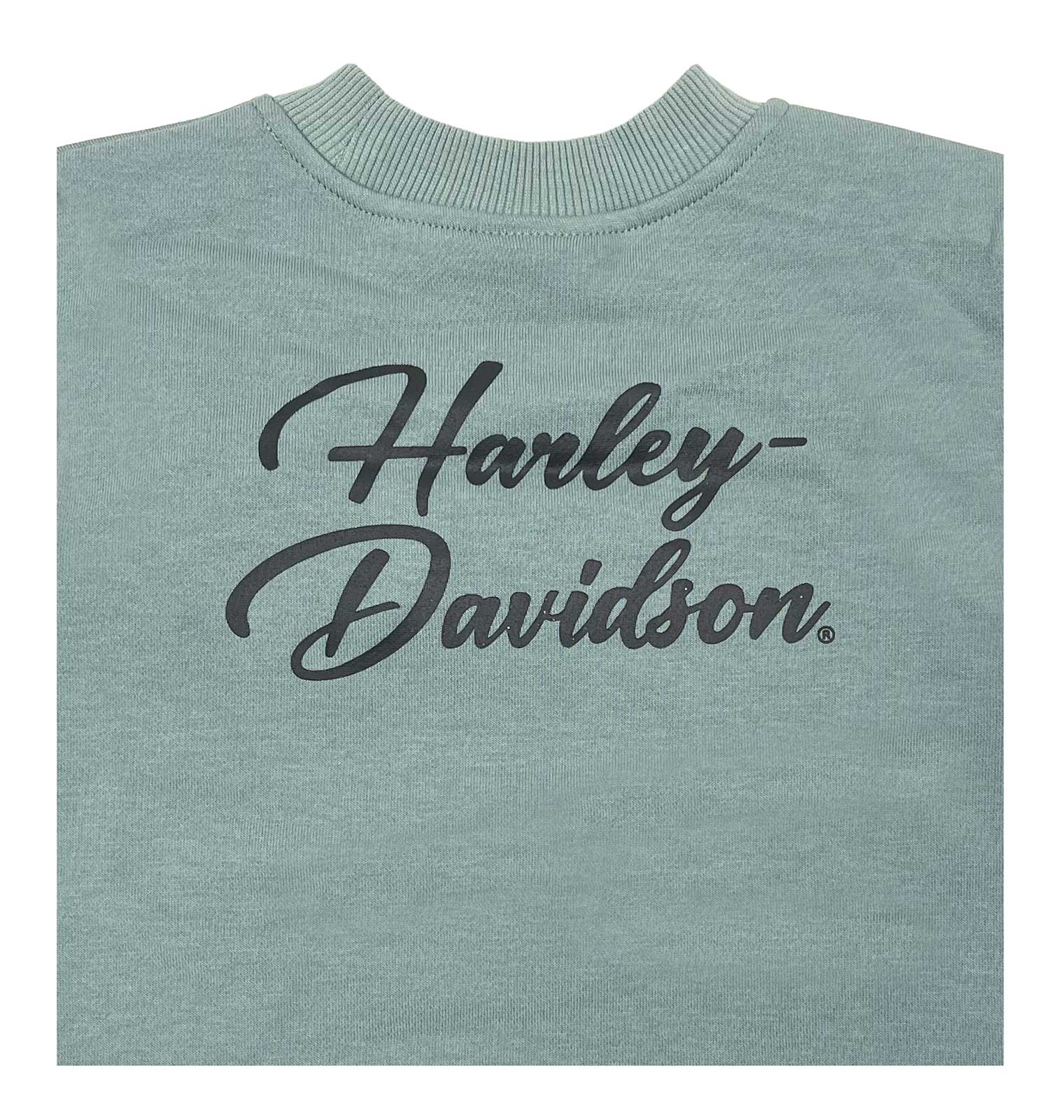 Harley-Davidson Free Shipping - Harley-Davidson Little Girls' Glittery B&S Fleece Pullover Toddler Sweatshirt - Free Shipping on many products plus Orders Over $99