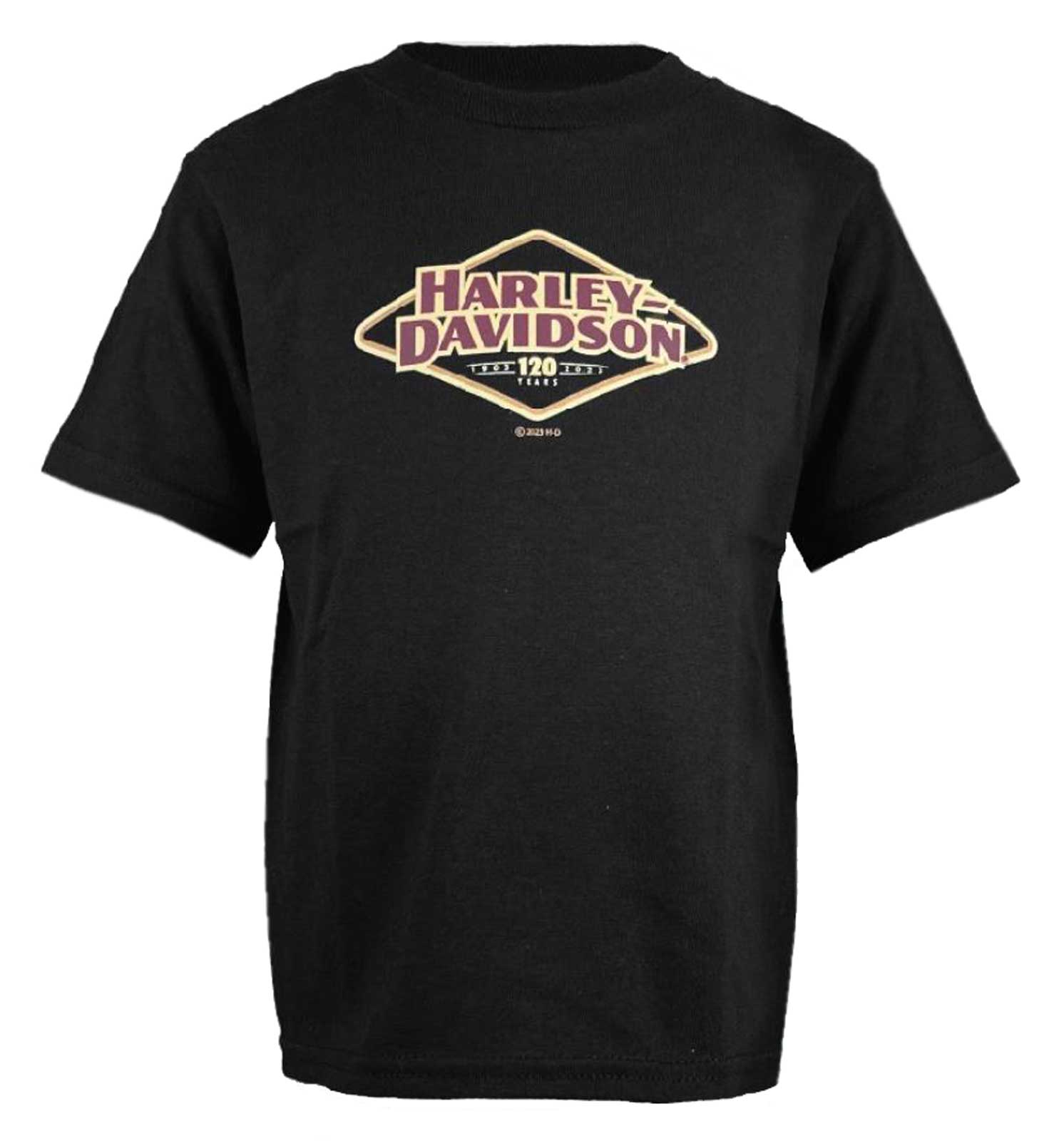 Harley-Davidson Big Boys' 120th Anniversary Short Sleeve T-Shirt - Black - Wisconsin Harley-Davidson