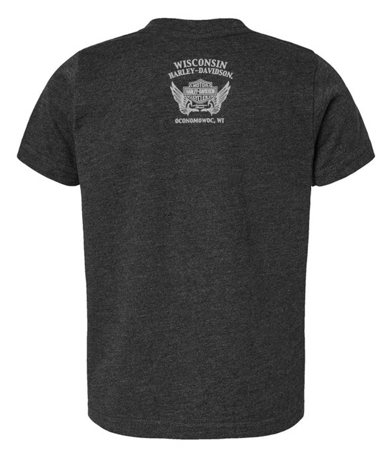 Harley-Davidson Free Shipping - Harley-Davidson Boy's Glare Short Sleeve Crew-Neck Youth Tee, Vintage Smoke - Free Shipping on many products plus Orders Over $99
