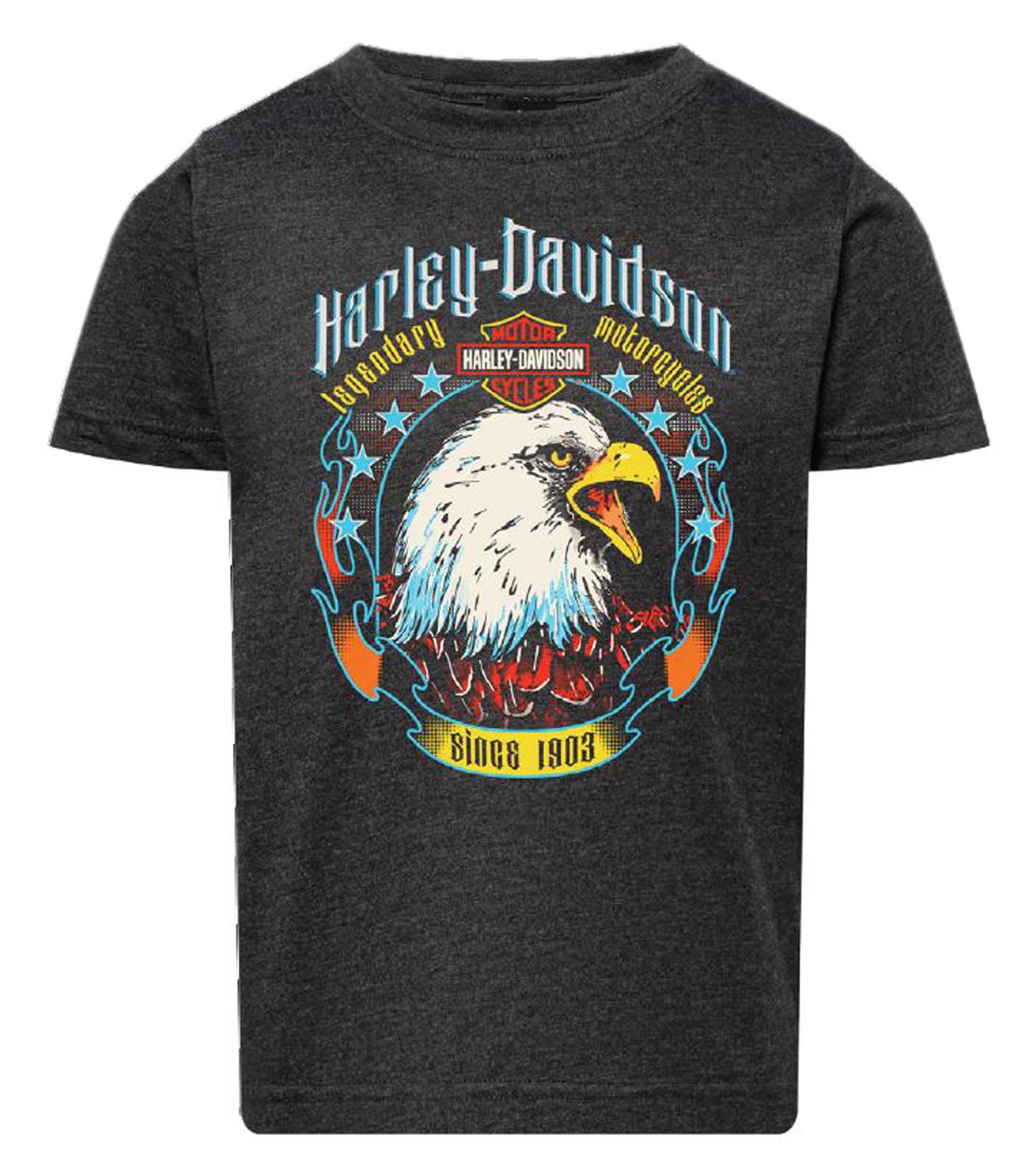 Harley-Davidson Boy's Glare Short Sleeve Crew-Neck Toddler Tee, Vintage Smoke - Wisconsin Harley-Davidson