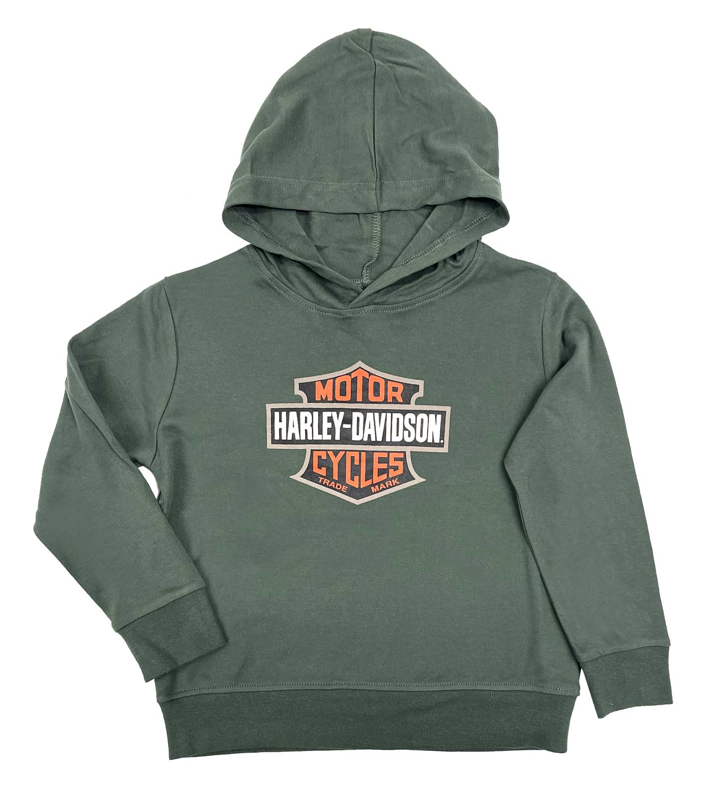 Harley-Davidson Boy's Bar & Shield Logo Knit Hooded Pullover Sweatshirt, Green - Wisconsin Harley-Davidson
