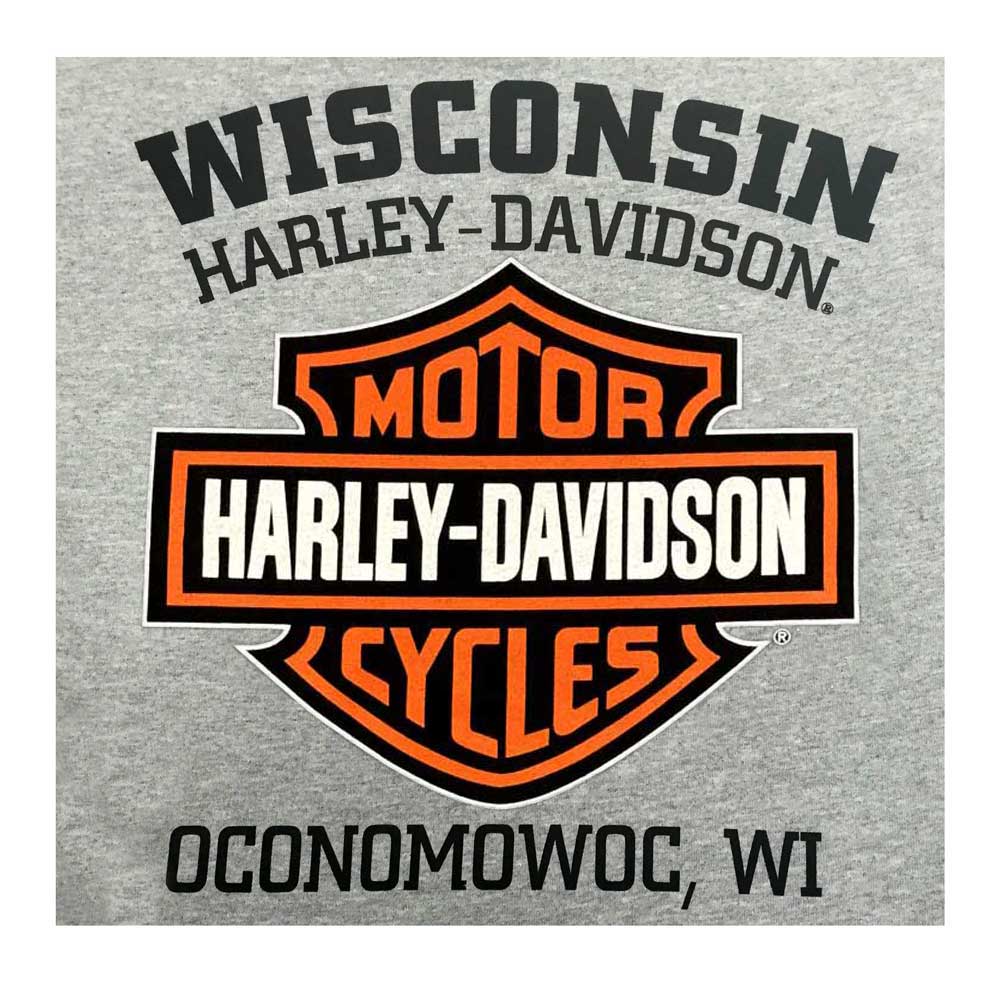 Harley-Davidson® Men's Tee, Distressed Bar & Shield T-Shirt, Gray