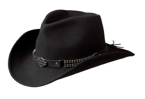 bendable cowboy hats