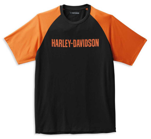 HARLEY DAVIDSON / Tシャツ/L/コットン/BLK 99063-22vm__1__52282.