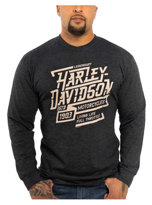 Harley-Davidson® Men's Thunder Long Sleeve Crew-Neck Shirt