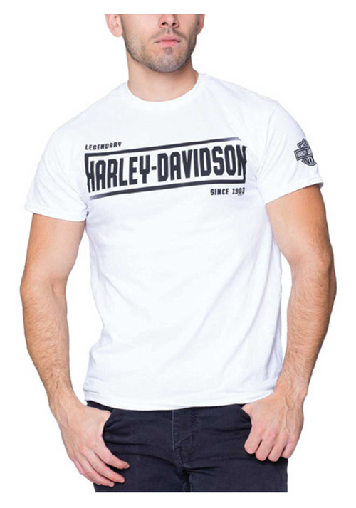 Harley-Davidson® Men's Faded H-D Crew-Neck Short Sleeve Cotton T