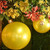 Holiball® *Yellow Holiball® 