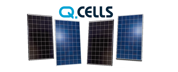 QCells QPRO260P 260W 24V Solar Panel