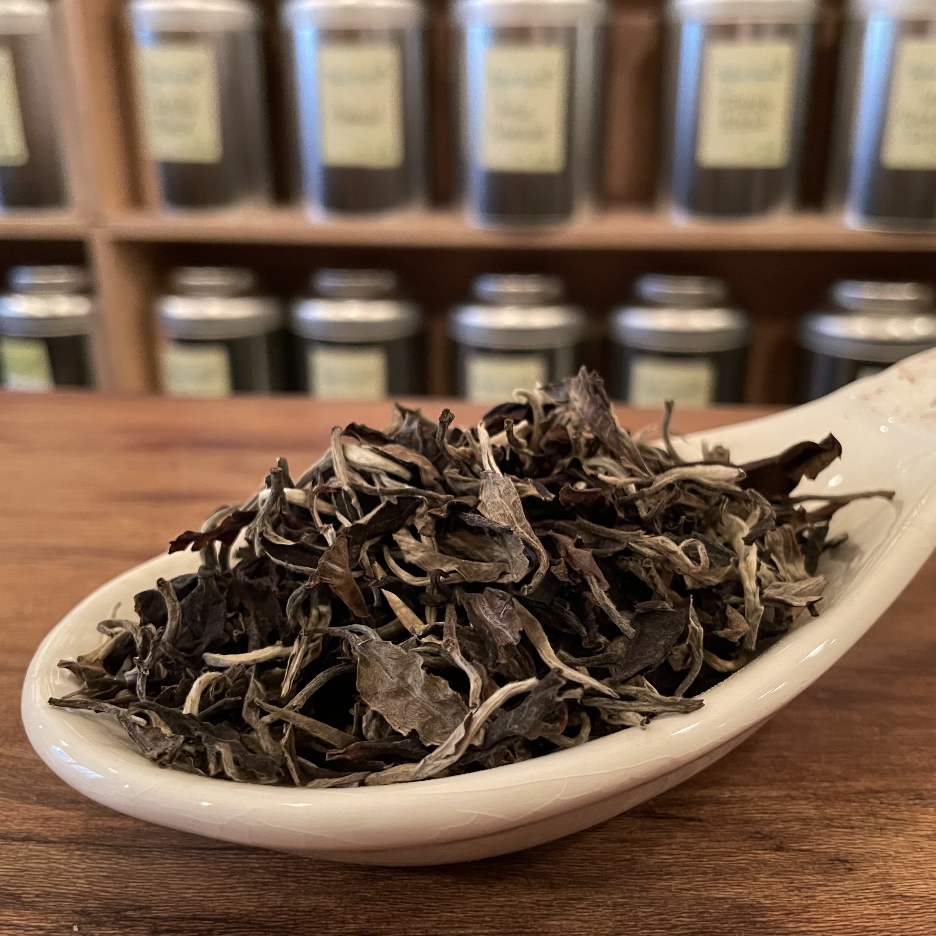 Try our newest white teas— Old Tree Silver Needle Yunnan and Bai MuDan