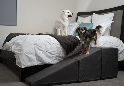 royal ramps pet ramp with landing