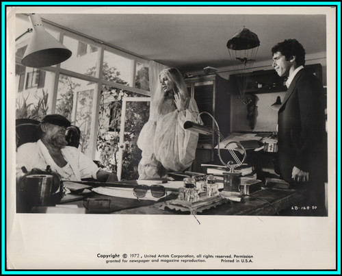 NINA VAN PALLANAT & ELLIOT GOULD in "The Long Goodbye" - Original Photo 1973