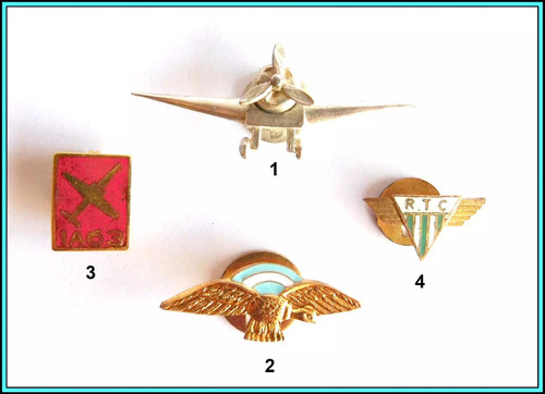 Set x 4 Winged Argentine Pins - UNUSUAL