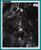 GENE HACKMAN & ERNEST BORGNINE in "The Poseidon Adventure" - Original Photo 1972