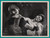 STEVE REEVES in "The Trojan Horse" - Original Vintage Photograph - 1961