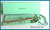TIFFANY & Co. T-Clip Ballpoint Pen - Sterling Silver 925 with Box & Pouch