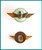 3 (Three) Different WINGED LAPEL PINS - Aviacion Civil & Fuerza Aerea Argentina