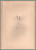 BELGIUM DECORATION: Order of the Crown "Gold Palms" 1928 with Diploma Award