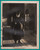 RUDOLPH VALENTINO in "The Eagle" - Original Vintage Photograph - 1925