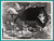 MOVIE SCENE from "Walt Disney's Lady and The Tramp" - Original Still 1955