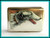 Italian 800/1000 Silver and Enamel Sighthound Dog Cigarette Case - early 20th