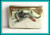 Italian 800/1000 Silver and Enamel Sighthound Dog Cigarette Case - early 20th