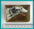 Italian 800/1000 Silver and Enamel Sighthound Dog Cigarette Case - early 20th