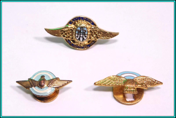 3 (Three) Different WINGED LAPEL PINS - Aviacion Civil & Fuerza Aerea Argentina