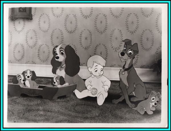 MOVIE SCENE from "Walt Disney's Lady and The Tramp" -  Original Still 1955