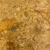 6063 DYH Golden Marble Honed 12x12
