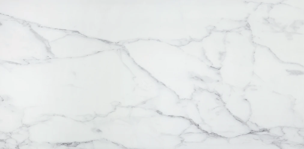 Imagine Stone Carrara Extra Polished 24"x48"