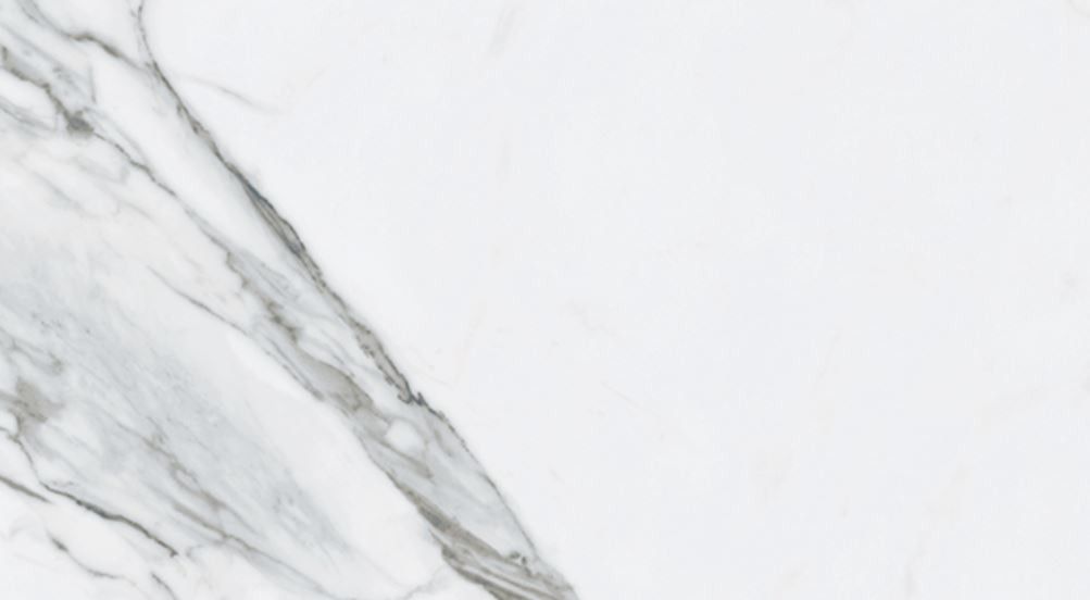 Bianco Venantino Matte 24"x48"