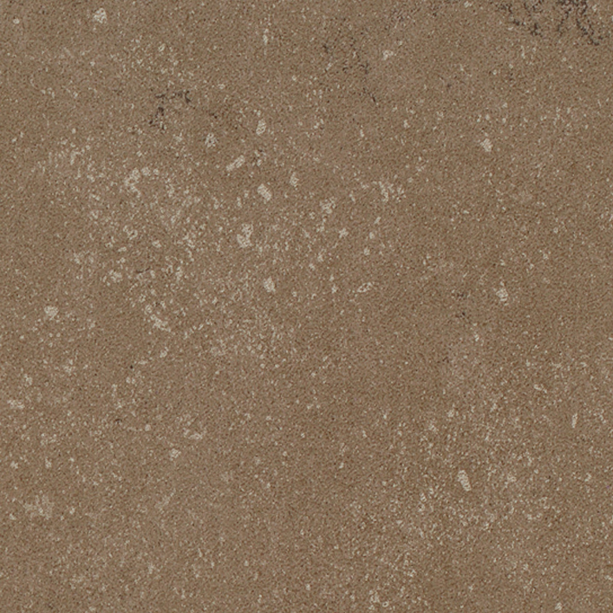 Cotto D' Este Noisette 24x24