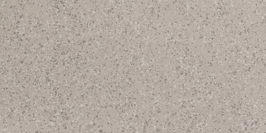 Parade Silver Terrazo Matte 24x48