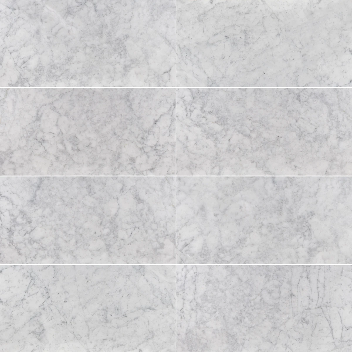 White Carrara Marble 12×24