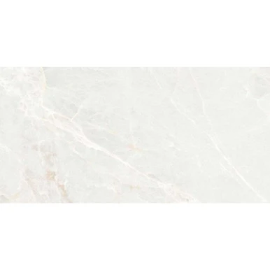 ECOCERAMICS - BRASILIA WHITE MATTE 12X24