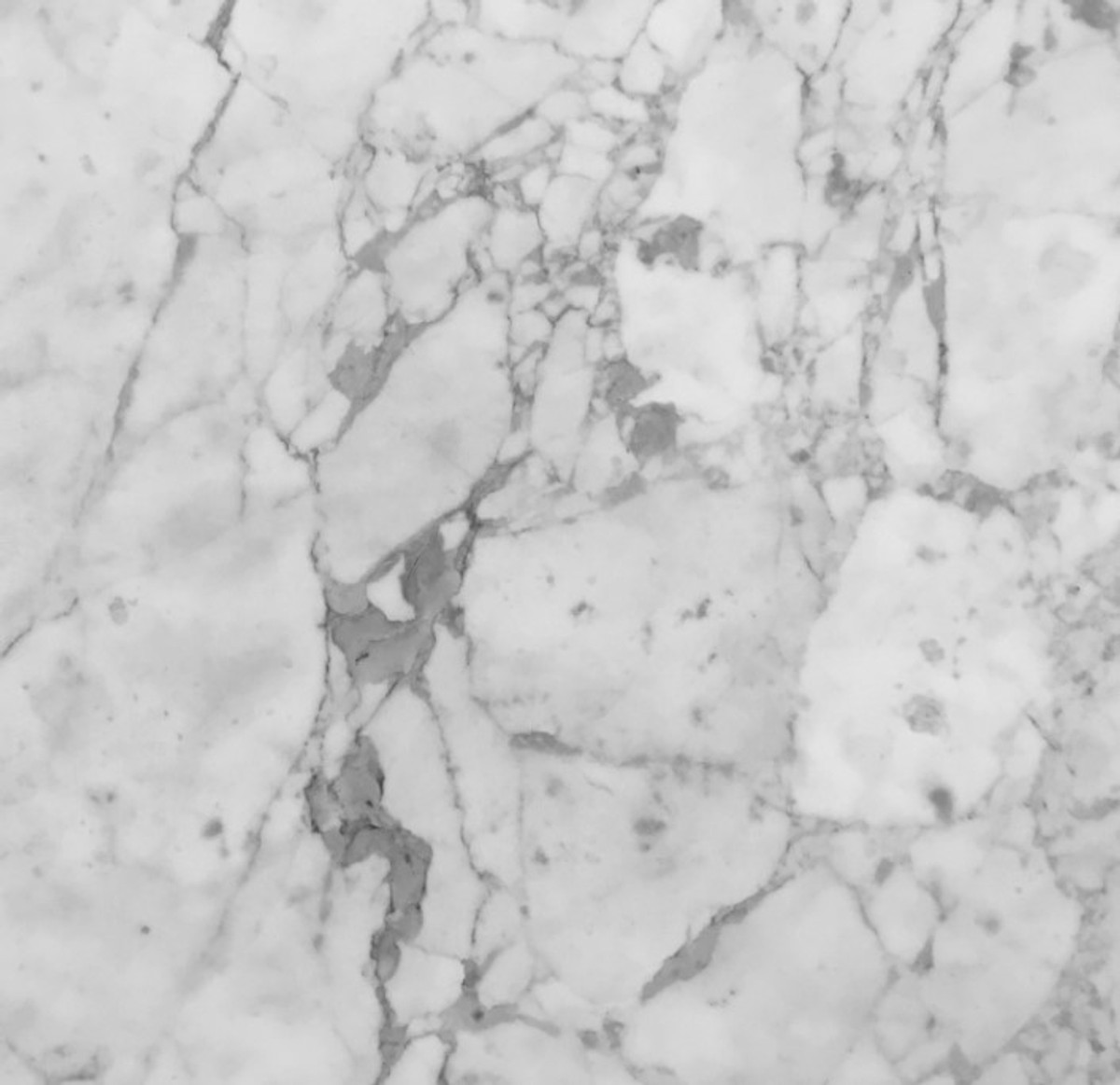 Statuarietto Honed 12x12 Item#6 (40 Square Feet Left) Italian Imported Marble Tiles