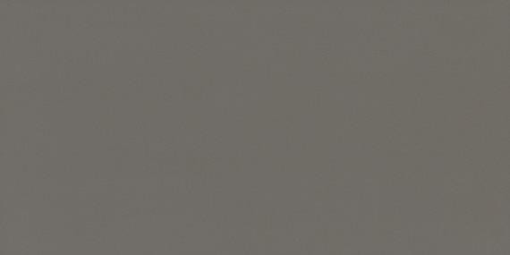 Influence Colorbody Iron 12x24