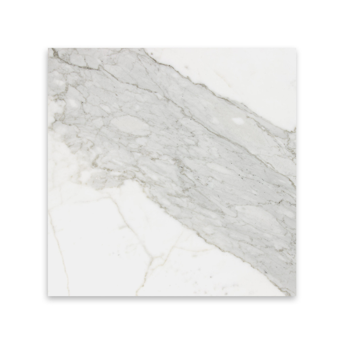 Italian Calacatta Gold Honed 18"x18"