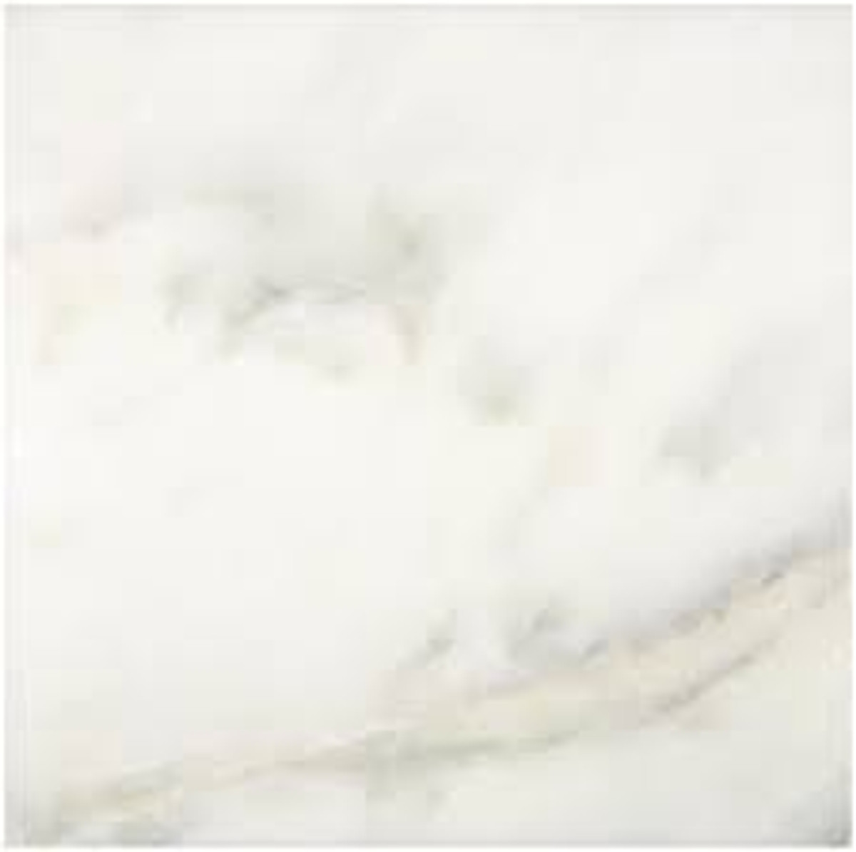 Calacatta Oliva Polished 16x16 $9.99 SF Last Price