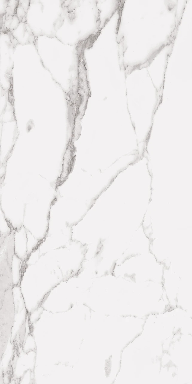 Statuary Extra Matte 24"x48" Porcelain Tile