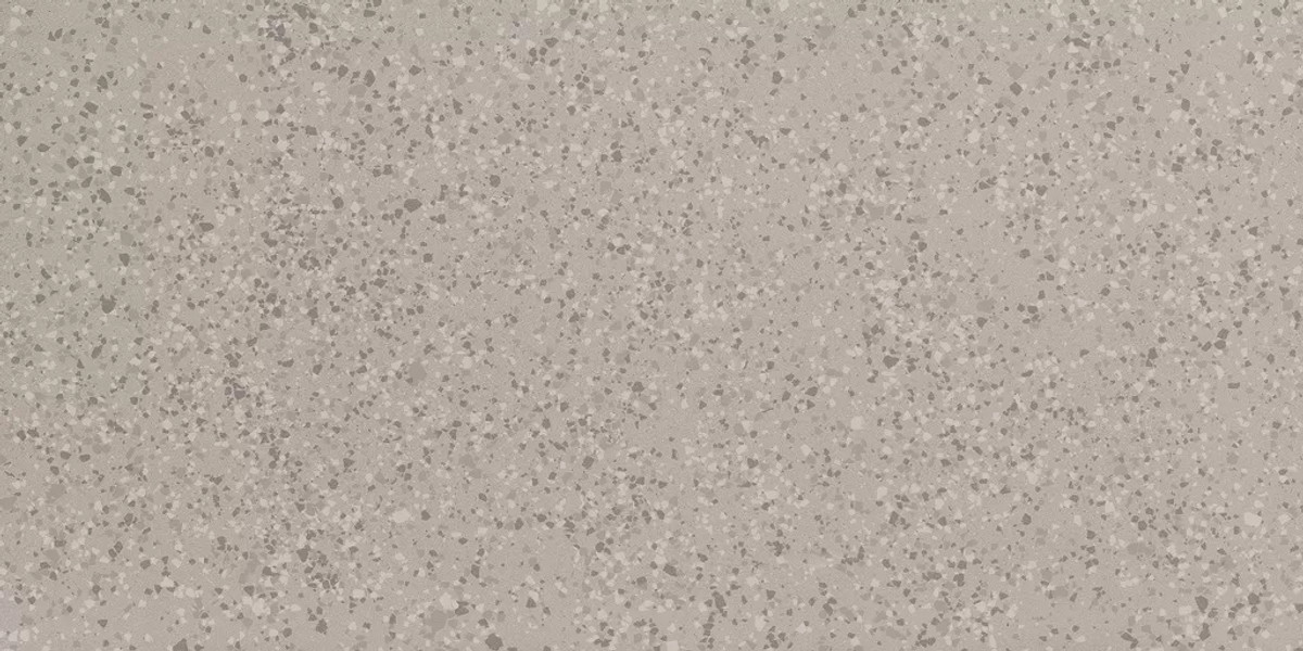 Parade Silver Terrazzo Matte 24x48